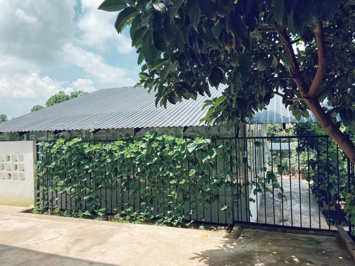 Xom Organic Farm Stay 波来古市 外观 照片