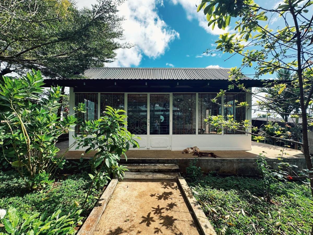 Xom Organic Farm Stay 波来古市 外观 照片
